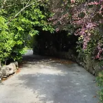 Rock Garden *