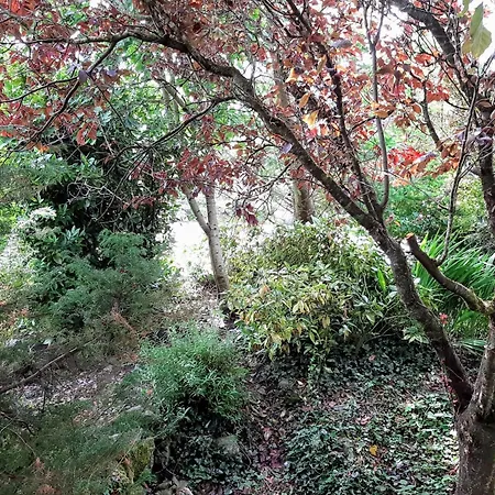 Rock Garden 3*