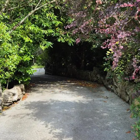 Rock Garden *